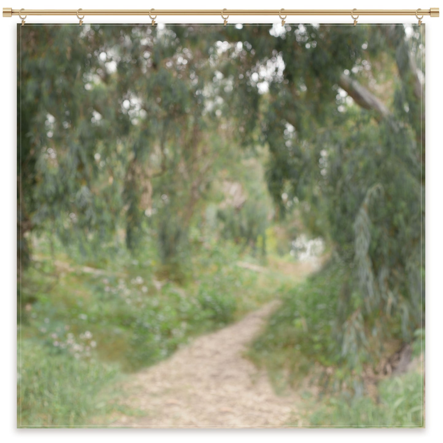 Eucalyptus Trail Photography Backdrop