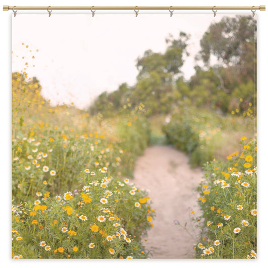 Daisy Field photography Backdrop