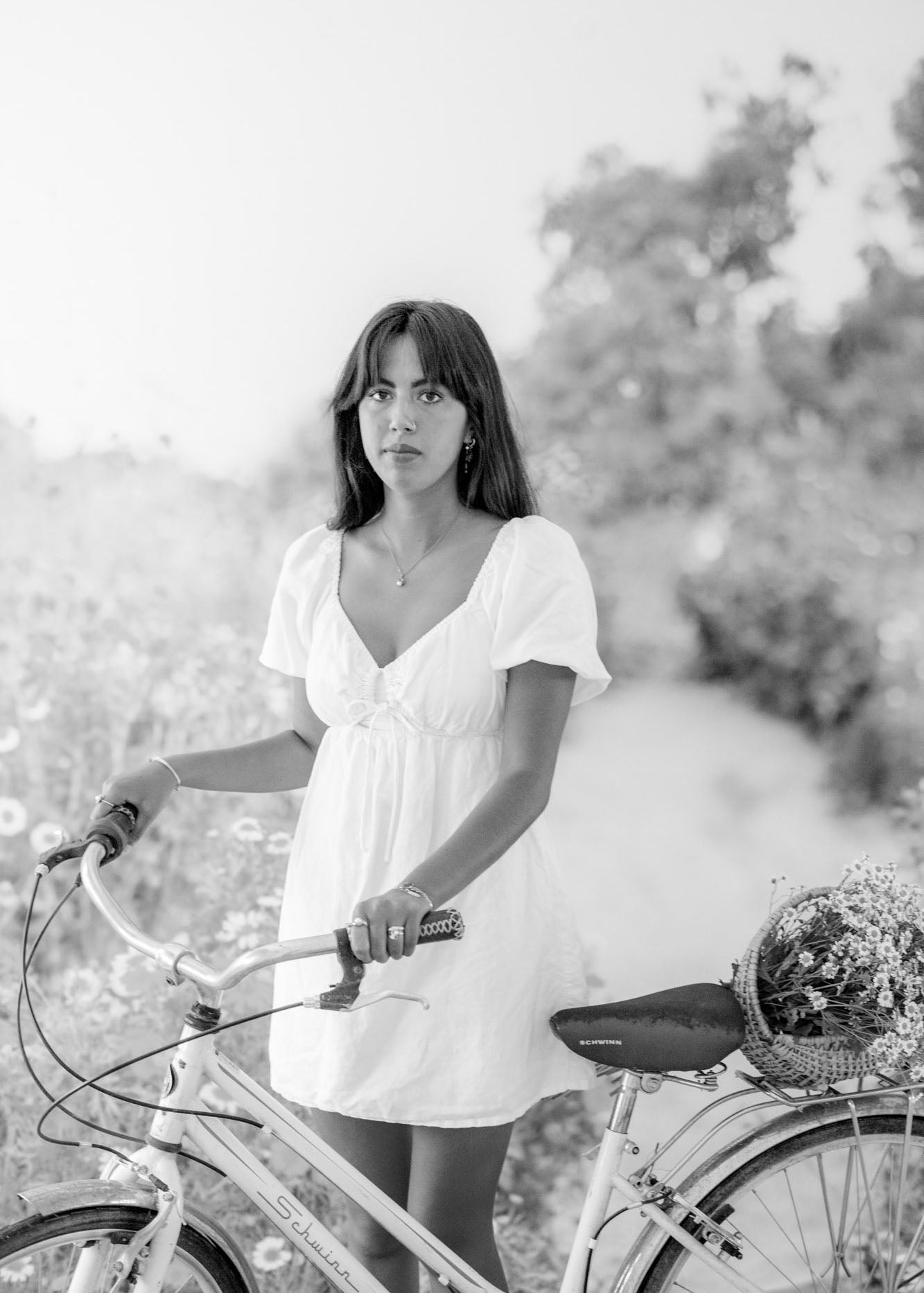 Daisy Field photography Backdrop