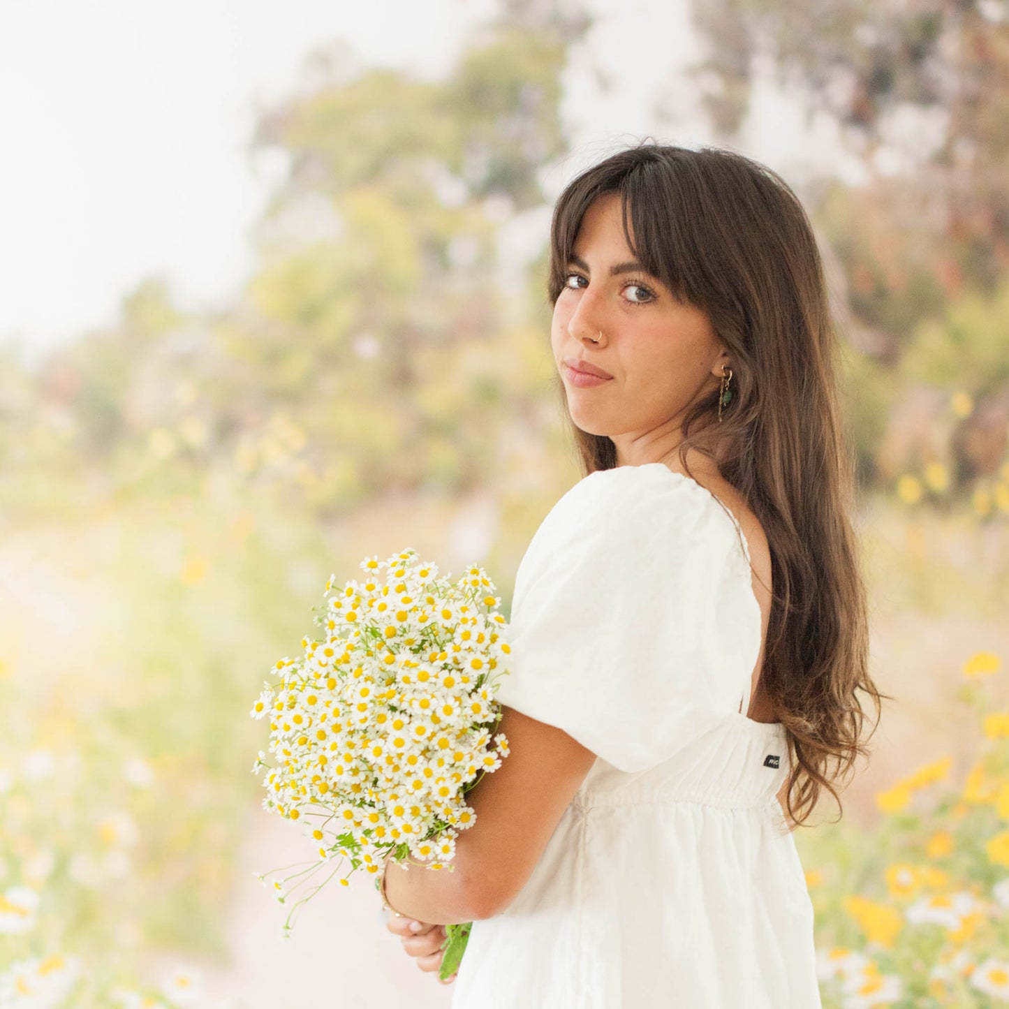 Daisy Field photography Backdrop