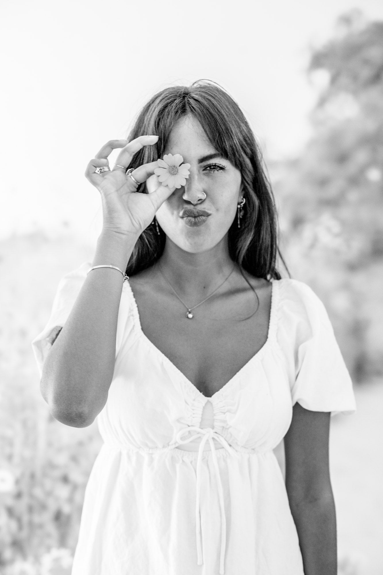 Daisy Field photography Backdrop