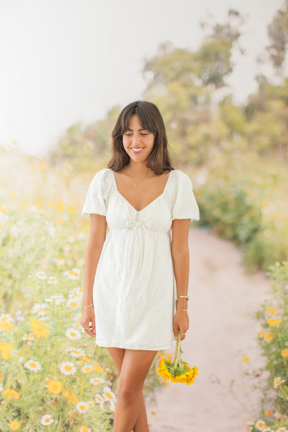 Daisy Field photography Backdrop