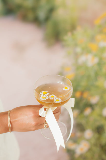 Daisy Field photography Backdrop