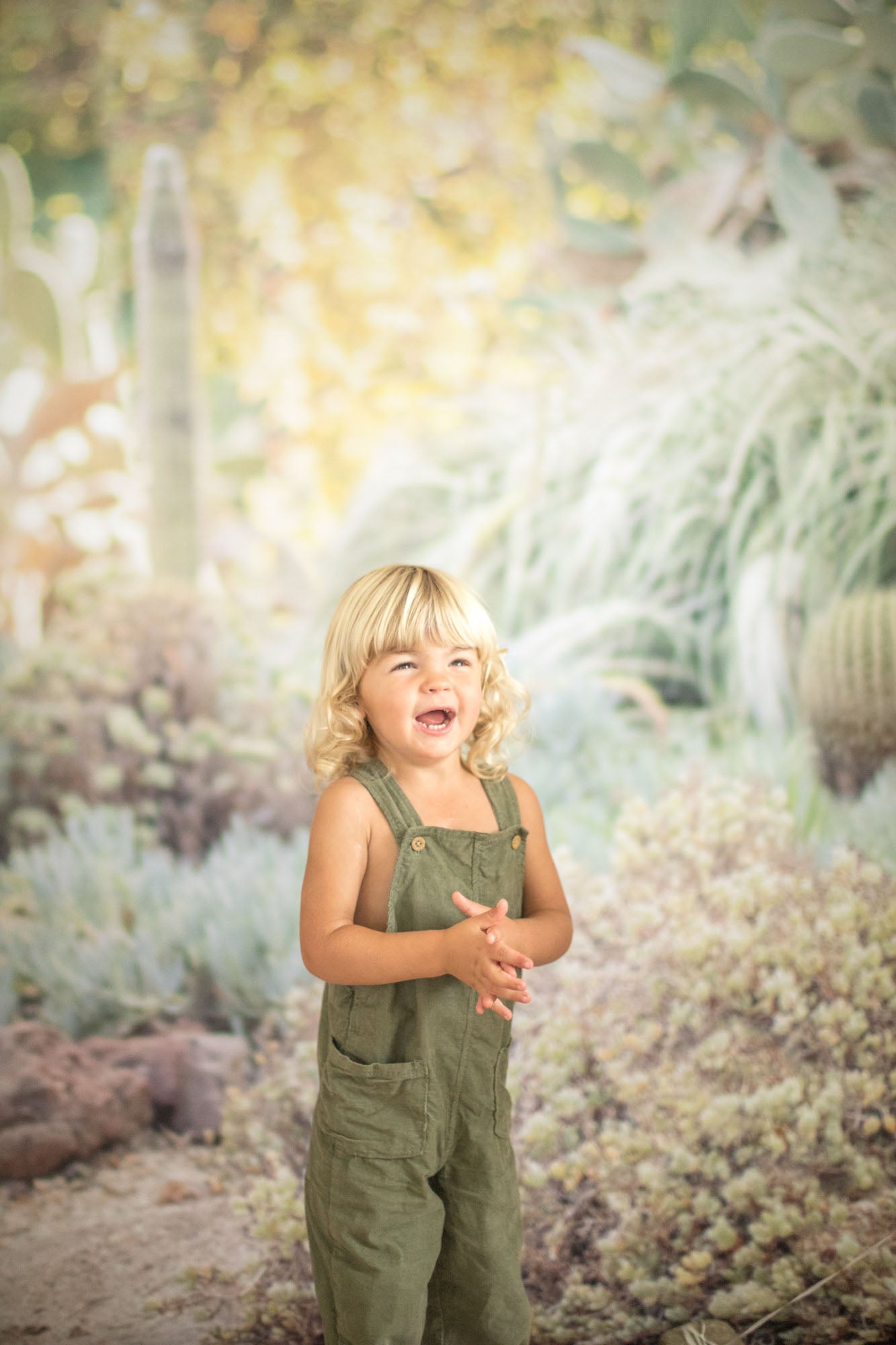 Cactus Succulent Desert Photography Backdrop