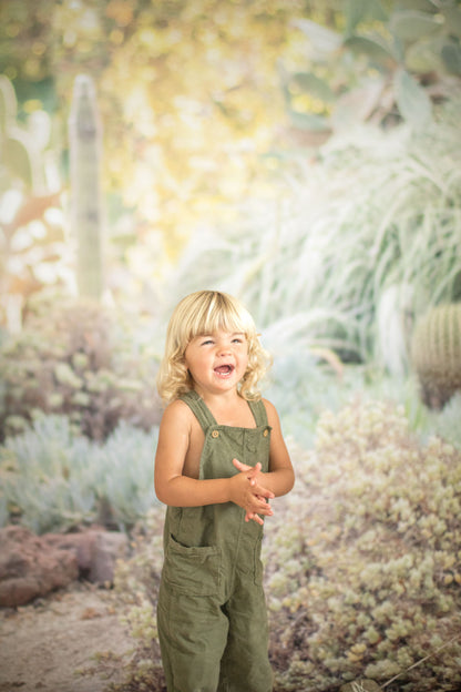 Cactus Succulent Desert Photography Backdrop