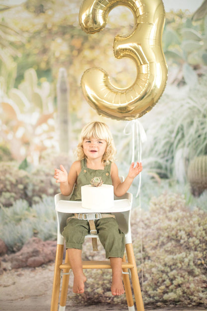 Cactus Succulent Desert Photography Backdrop