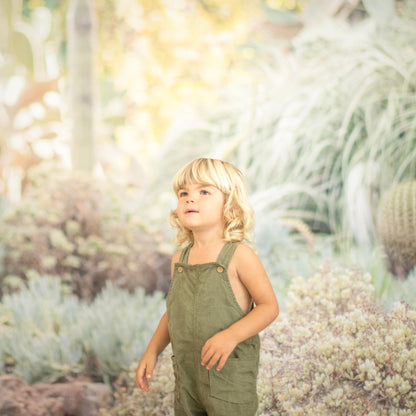 Cactus Succulent Desert Photography Backdrop