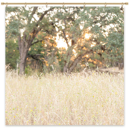 Oak Tree Photography Backdrop