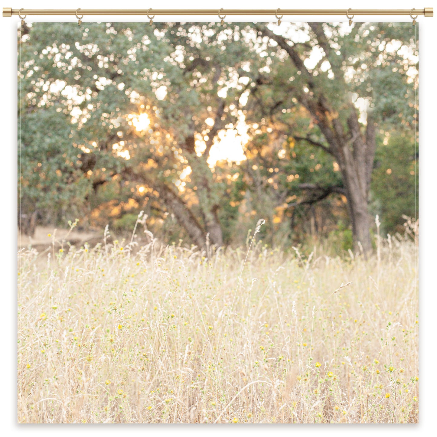 Oak Tree Photography Backdrop