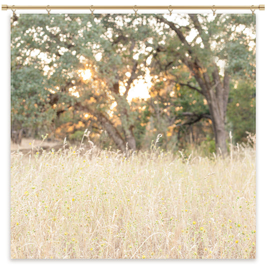 Oak Tree Photography Backdrop