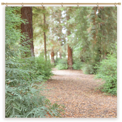 Redwood Christmas Photography Backdrop