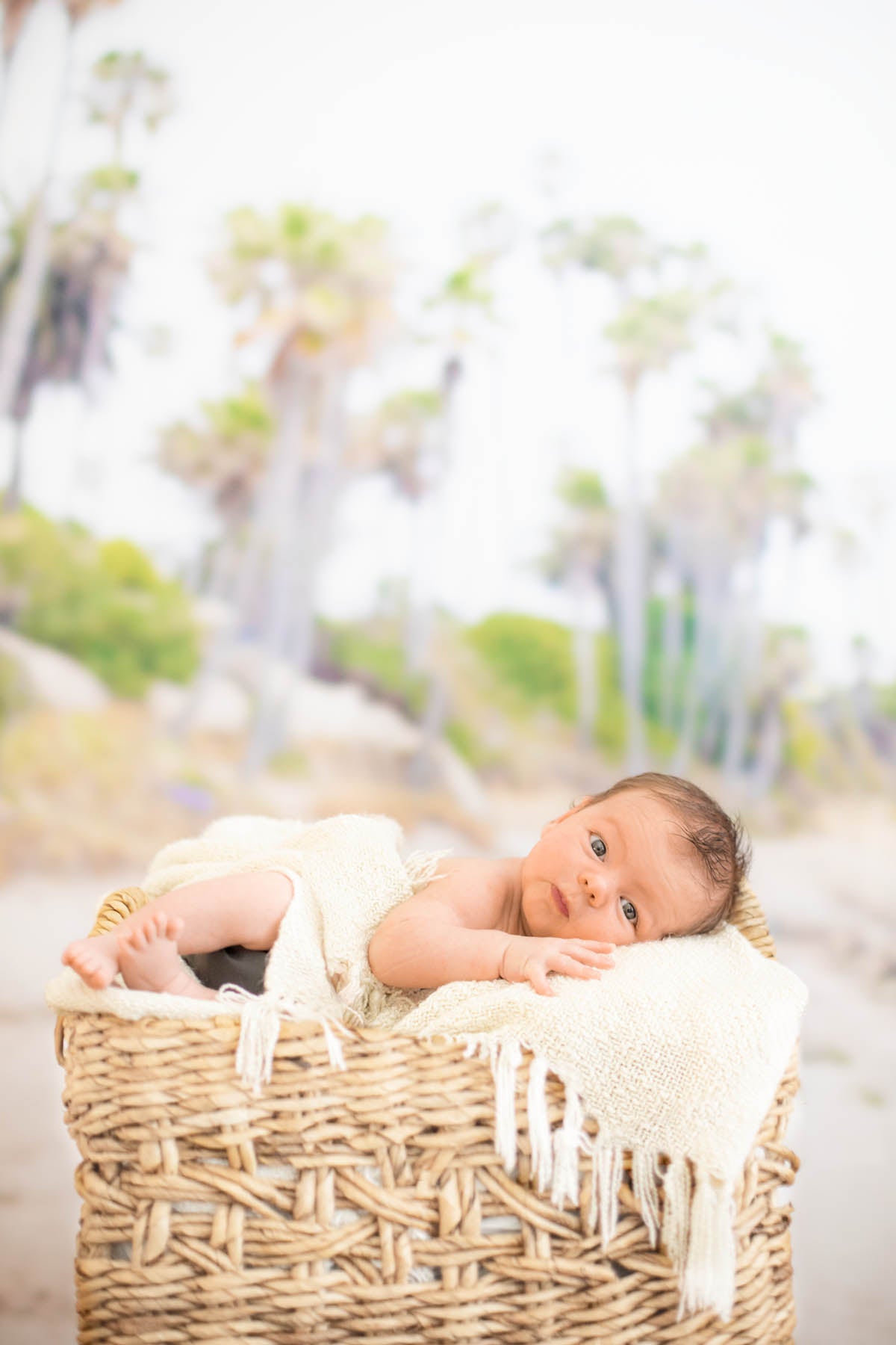 Beach Cliffs Photography Backdrop